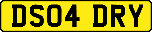 DS04DRY