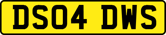 DS04DWS