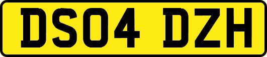 DS04DZH