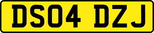 DS04DZJ