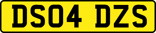 DS04DZS