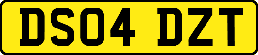 DS04DZT