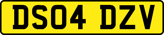DS04DZV