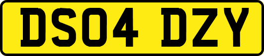 DS04DZY
