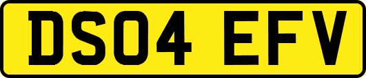 DS04EFV