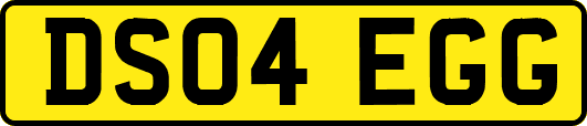 DS04EGG