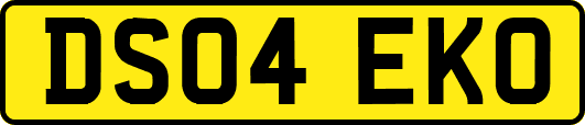 DS04EKO