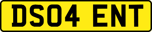 DS04ENT