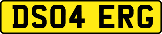 DS04ERG