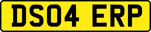 DS04ERP
