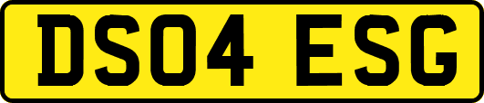 DS04ESG