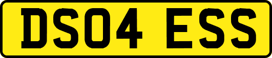 DS04ESS