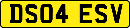 DS04ESV