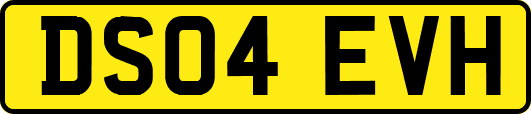 DS04EVH