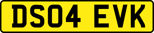 DS04EVK