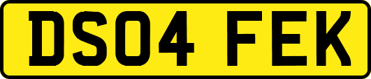 DS04FEK