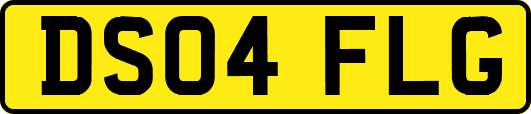 DS04FLG