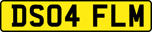 DS04FLM