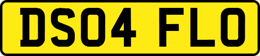 DS04FLO