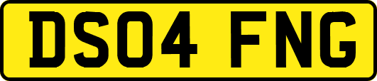 DS04FNG
