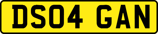 DS04GAN