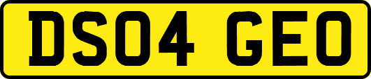DS04GEO