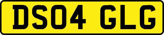 DS04GLG