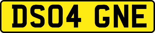 DS04GNE