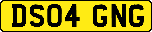 DS04GNG