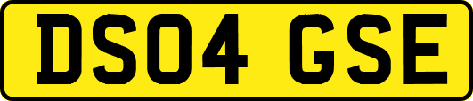 DS04GSE