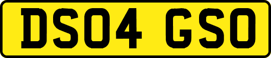 DS04GSO