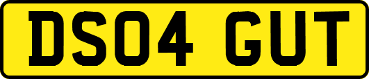 DS04GUT