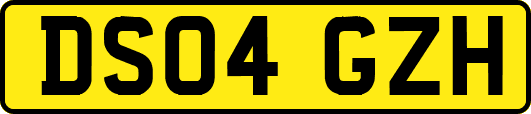 DS04GZH