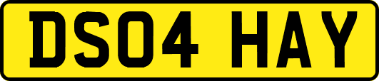 DS04HAY