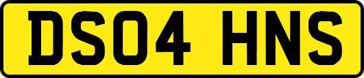 DS04HNS