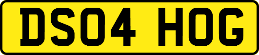 DS04HOG