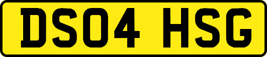 DS04HSG