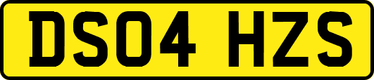 DS04HZS