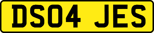 DS04JES