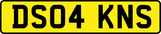 DS04KNS