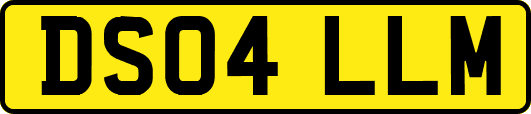 DS04LLM