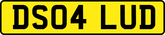 DS04LUD
