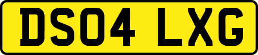 DS04LXG