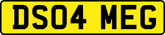 DS04MEG