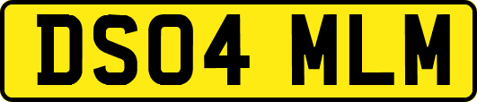 DS04MLM