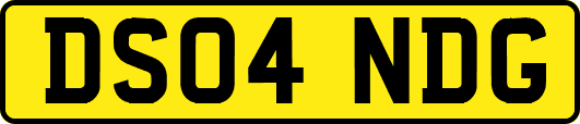 DS04NDG