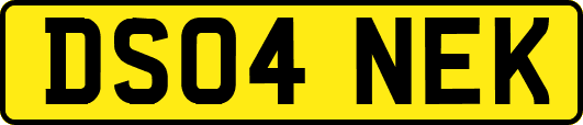 DS04NEK