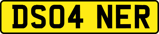 DS04NER