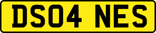 DS04NES
