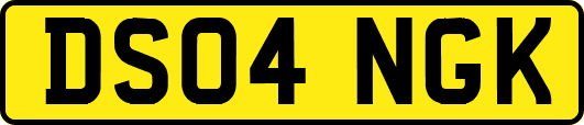 DS04NGK